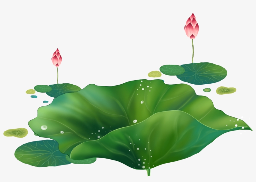 Cartoon Lotus Decorative About Hand Droplets - Portable Network Graphics, transparent png #2442757