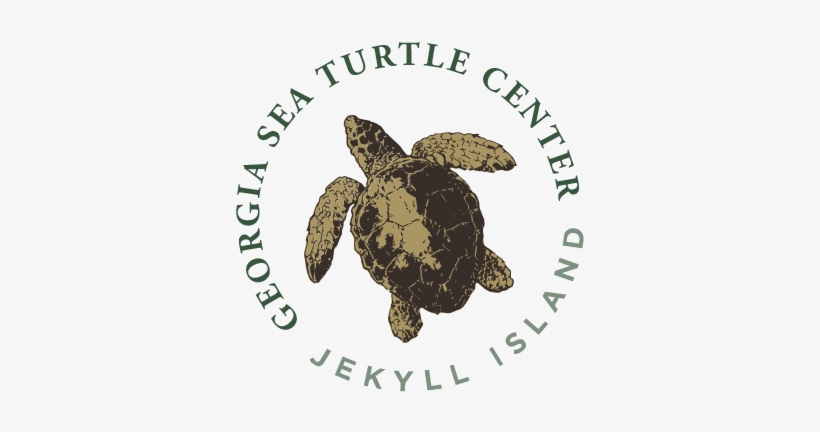 Georgia Sea Turtle Center Logo 360px - Georgia Sea Turtle Center Logo, transparent png #2443007
