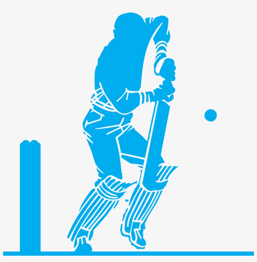 Cricket Png Image - Playing Cricket Png, transparent png #2443091