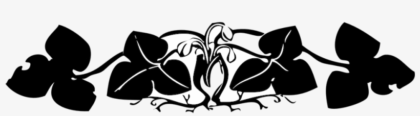 Border-28680 960 720 - Border Flower Png Hd Black, transparent png #2443673