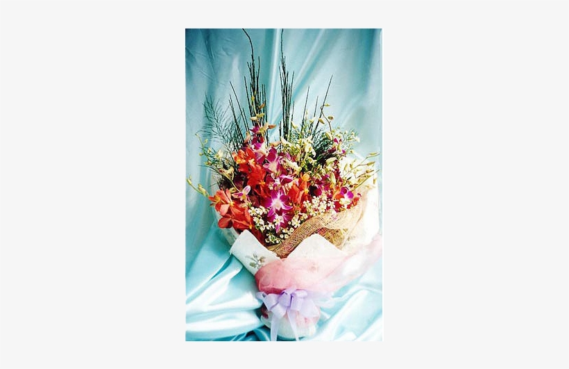 Hb O104 A Welcome Gift - Gift, transparent png #2443946