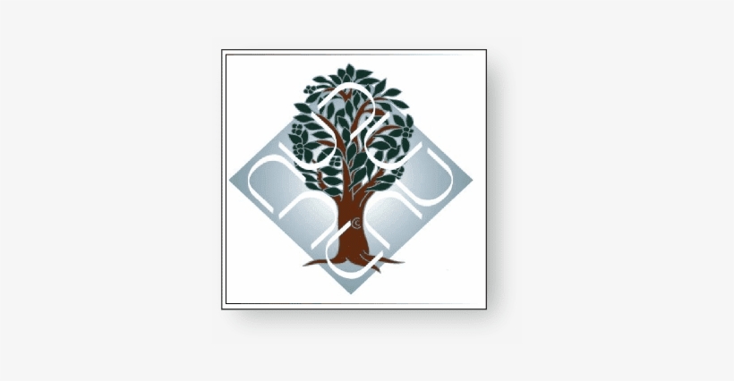 Ambedkar University Mba Admission Details - Ambedkar University Delhi, transparent png #2444197