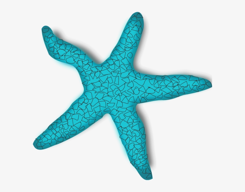 28 Collection Of Turquoise Starfish Clipart - Starfish Clipart Png, transparent png #2444756