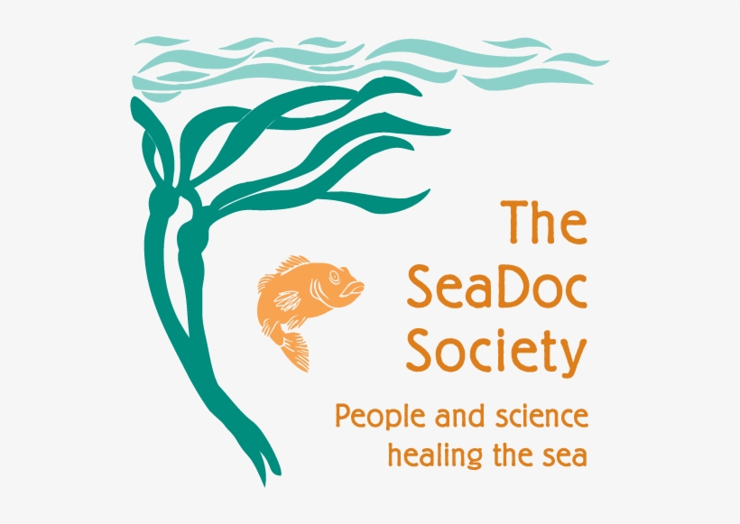 Sea Vector Png, transparent png #2444897