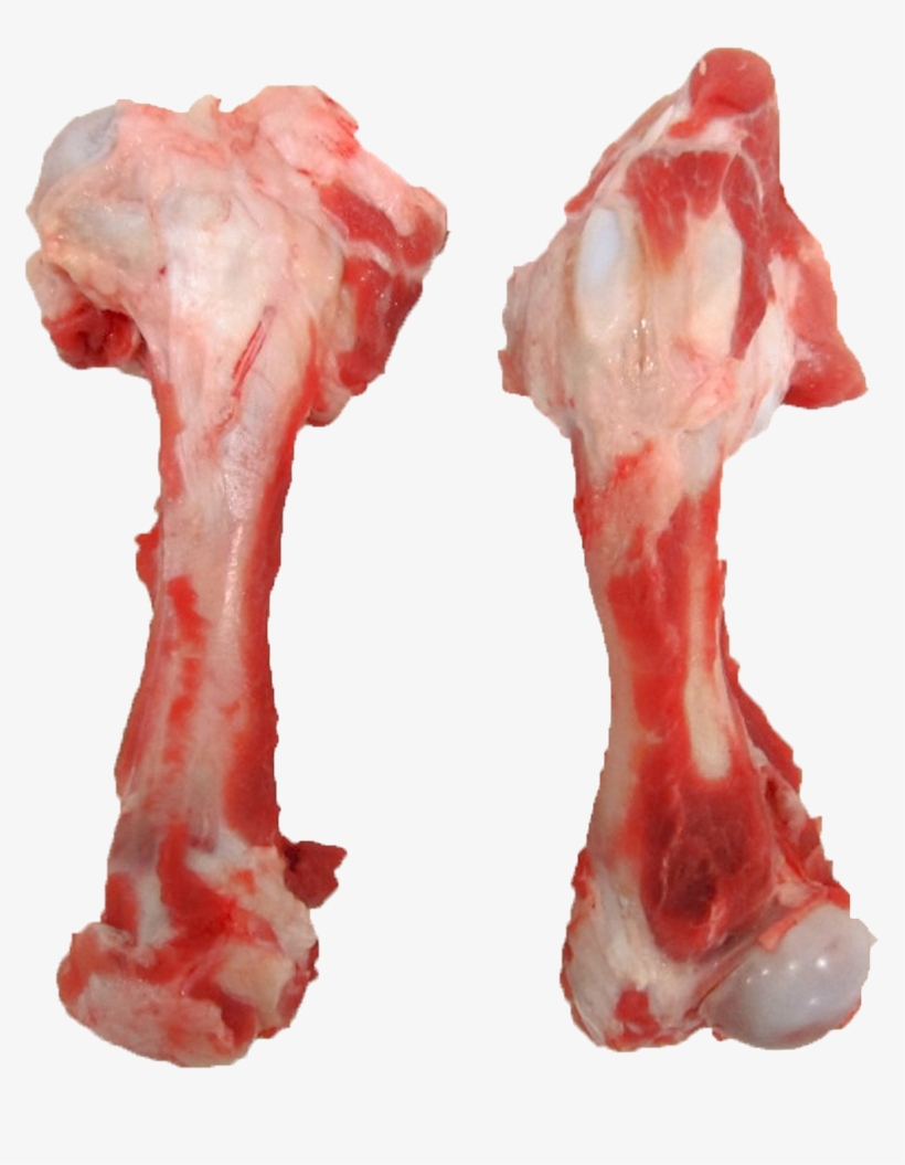 Lamb Bones - Bone, transparent png #2445510