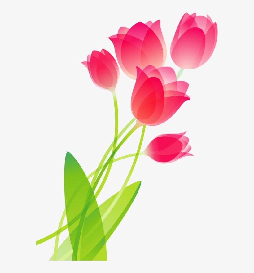 Flores Vector Pretty Flower - Tulip Flower Drawing, transparent png #2445628