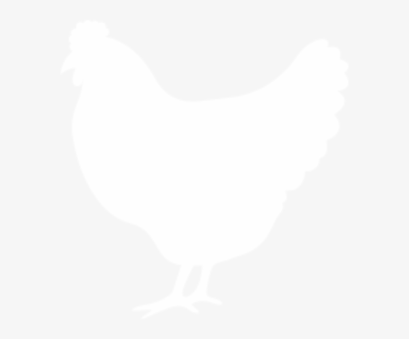 Contact Us - Chicken, transparent png #2445840