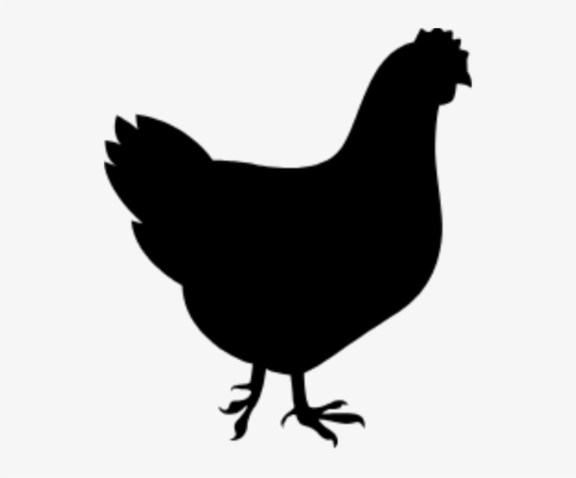 Broiler Breeder - Chicken Silhouette, transparent png #2445962