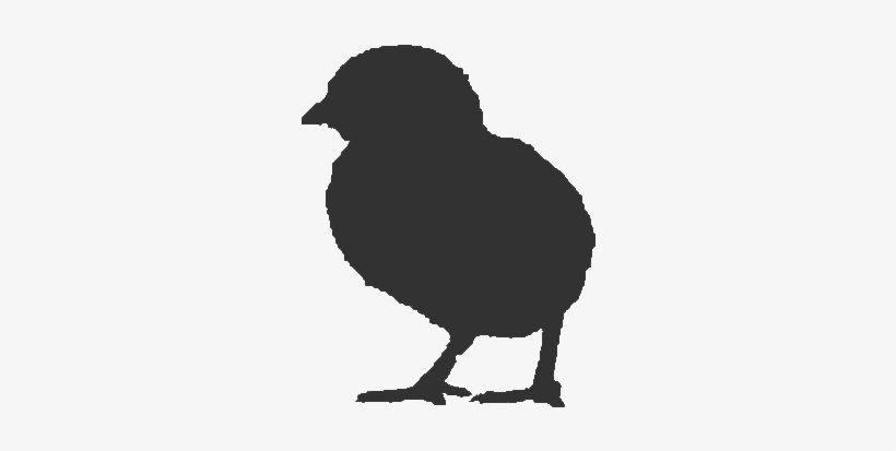 Ontario Broiler Chicken Hatching Egg Producers Association - Chicken, transparent png #2446076