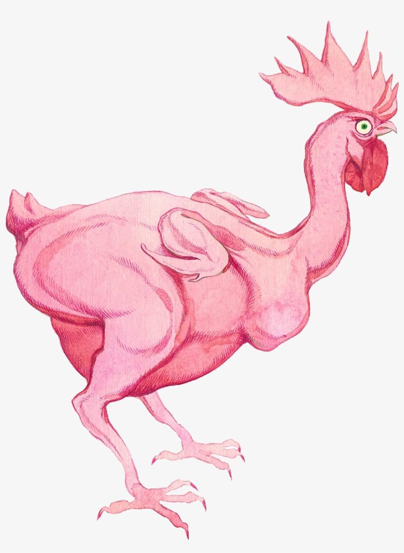 Rooster Chicken Broiler Illustration - Rooster, transparent png #2446297