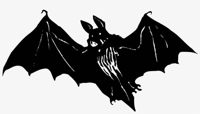Bat Animal Wildlife Halloween Transparent Image - Kelelawar Vektor, transparent png #2446904