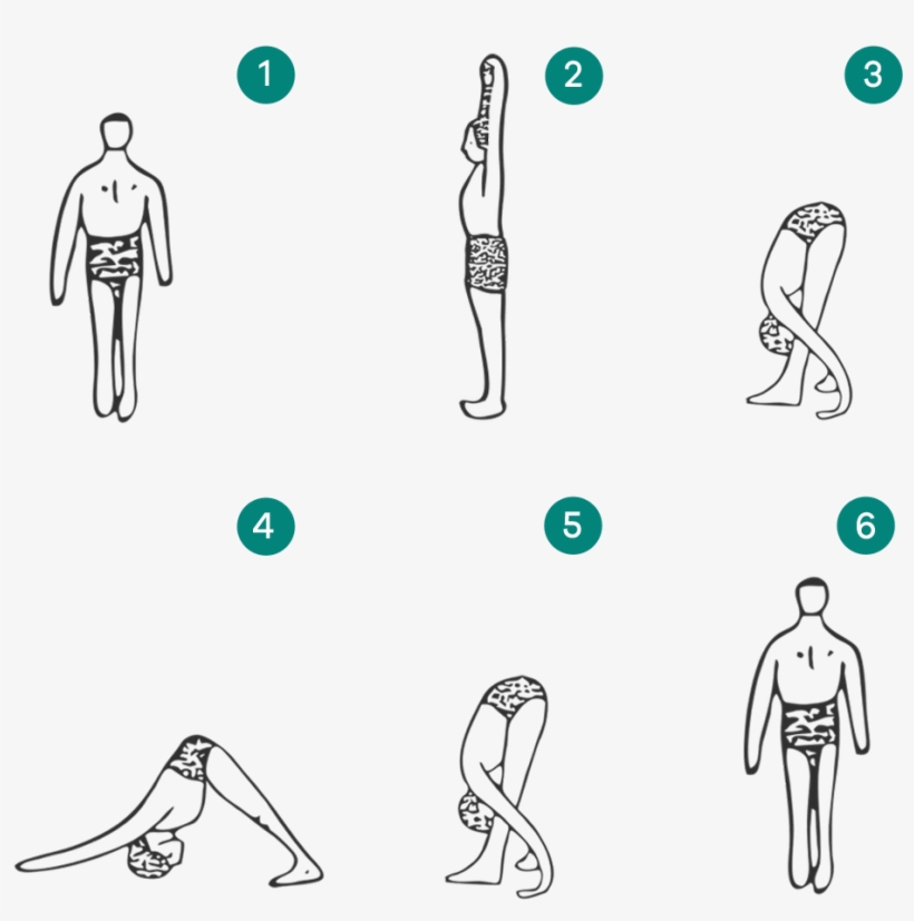 Modified Surya Namaskar - Surya Namaskār, transparent png #2447207