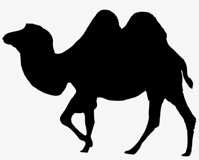 Silhouette, Desert, Camell Isolated, Camel Vector - Round Batman Logo Png, transparent png #2449787