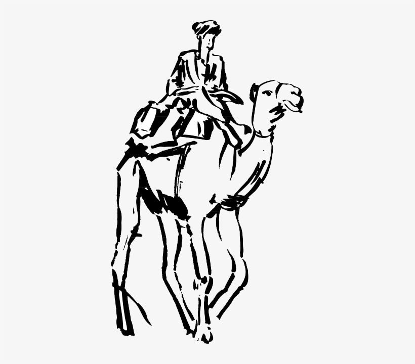 Camel Images At Getdrawings - Dessin Un Homme Sur Un Chameau, transparent png #2449819