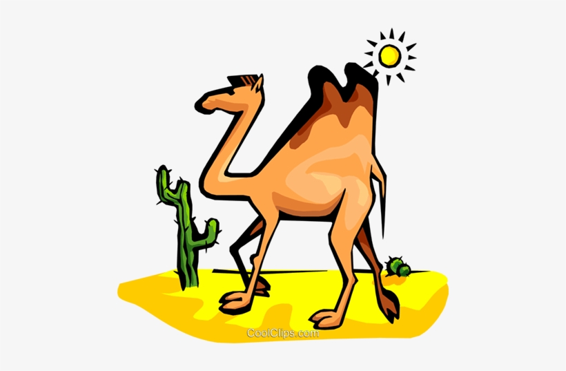 Camel Royalty Free Vector Clip Art Illustration - Adaptive Features Of Camel, transparent png #2449925