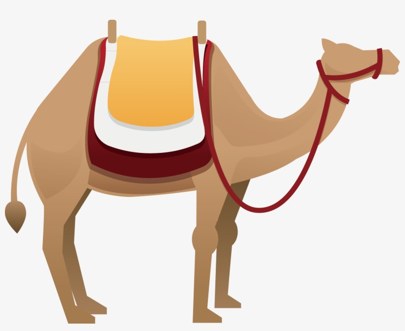 Camels Clipart Horse - Camels Clip Art, transparent png #2450014