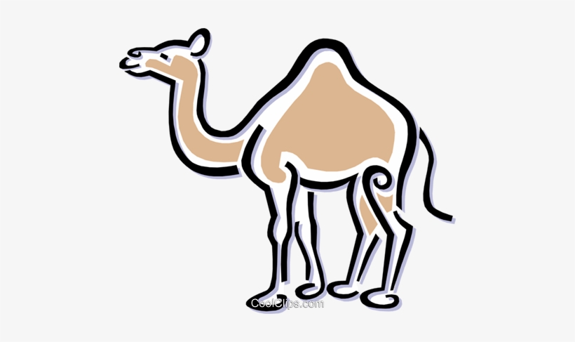Camel Royalty Free Vector Clip Art Illustration - Uae Camel Clipart, transparent png #2450062