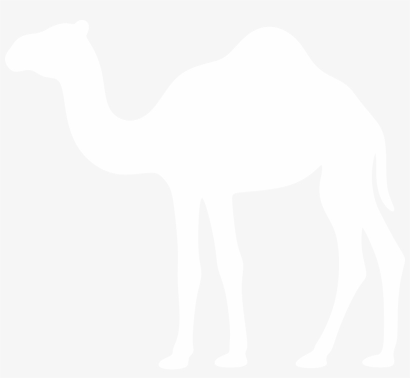 By Paperlightbox On Deviantart Camelsilhouette - Camel White Silhouette Png, transparent png #2450167