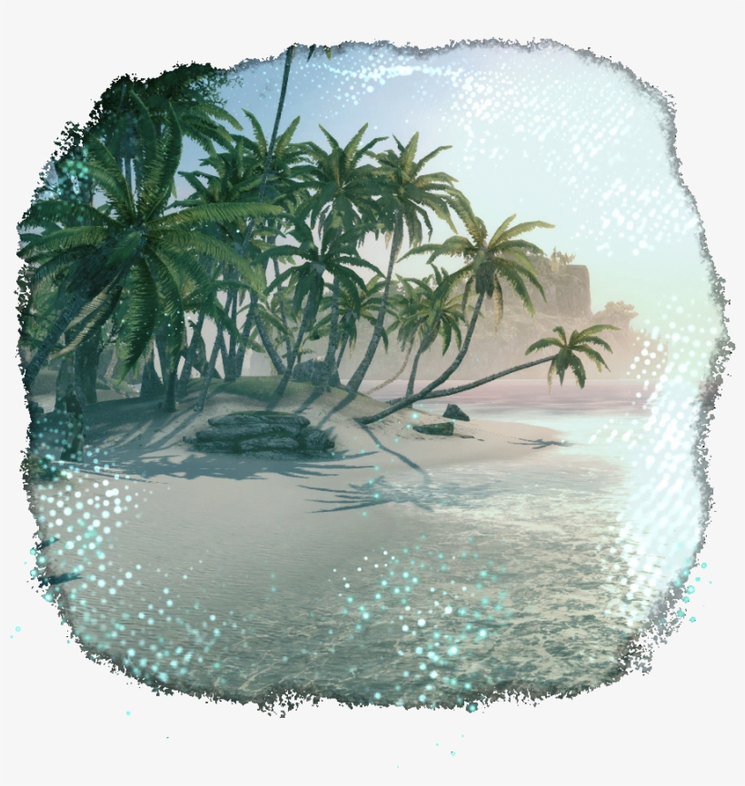 Coconut Beach - Attalea Speciosa, transparent png #2450539