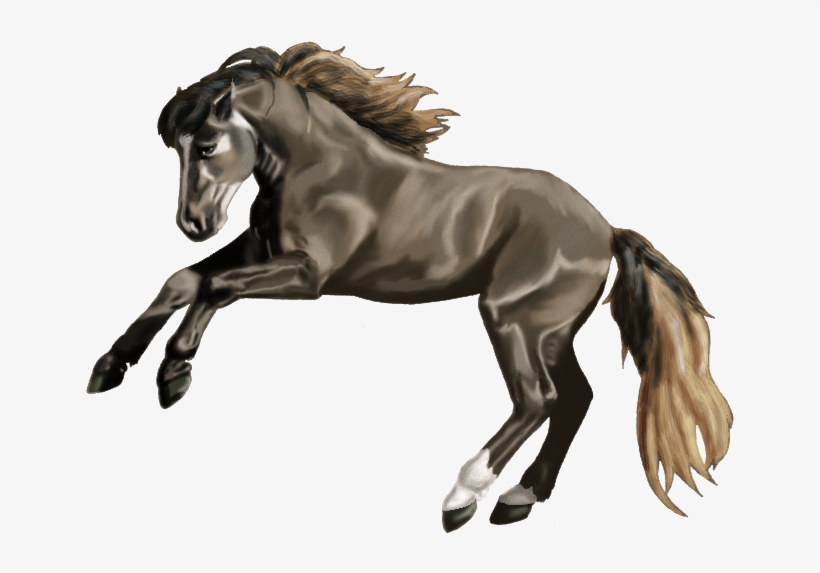 Bolero - Stallion, transparent png #2450623