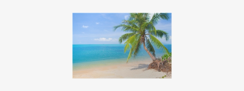 Crescent Shores - (import Cd), transparent png #2450867