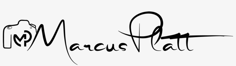 Photography Logo Png Hd Free Transparent Png Download Pngkey Photography Logo Png Hd Free Transparent Png Download Pngkey