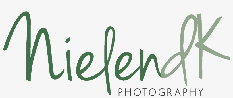 Nielendk Photography » Quality Wedding And Lifestyle - Dress, transparent png #2451216