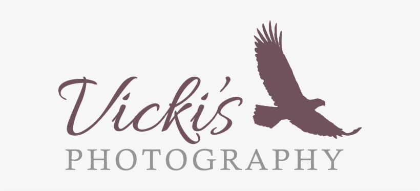 Vicki's Photography Calgary - Vicky Photography Logo Png, transparent png #2451267