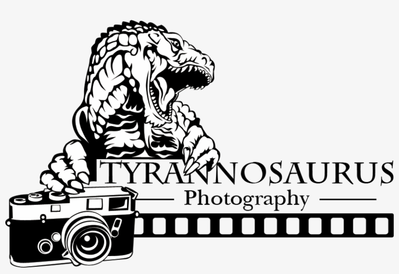 Conservative, Bold, Camera Logo Design For A Company - Illustration, transparent png #2451675