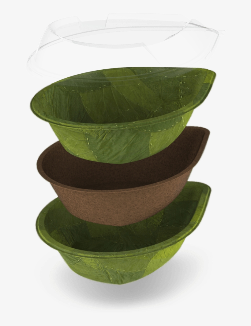 Leaf Republic I Am Like You Diffe - Leaf Plate Biodegradable, transparent png #2451762