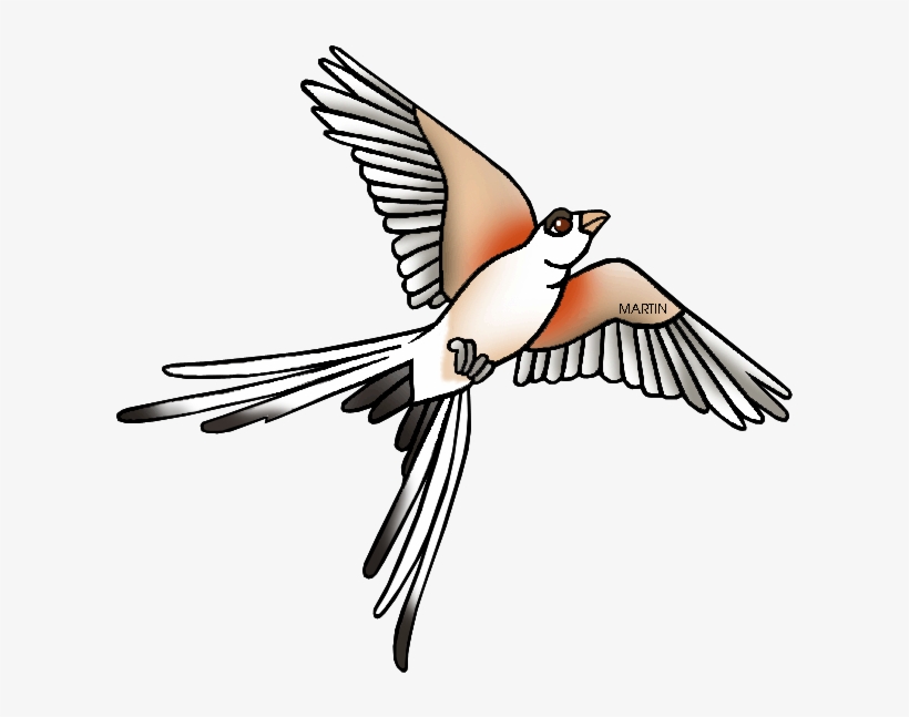 Kingfisher Clipart Ibon - Scissor Tailed Flycatcher Clipart, transparent png #2452165