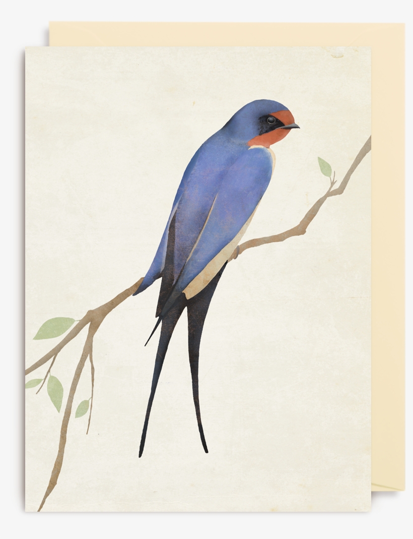 Mini Cooper, transparent png #2452193