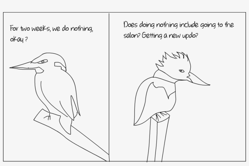 Kingfishers - Duck, transparent png #2452249