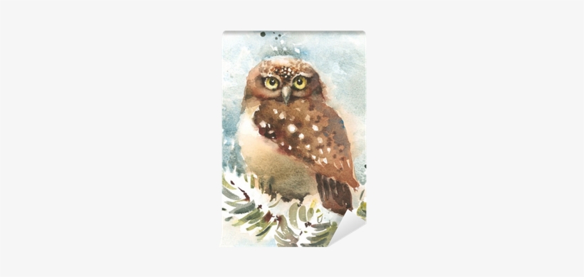 Watercolor Bird Winter Owl Nature Wildlife Hand Drawn - Watercolor Painting, transparent png #2452299