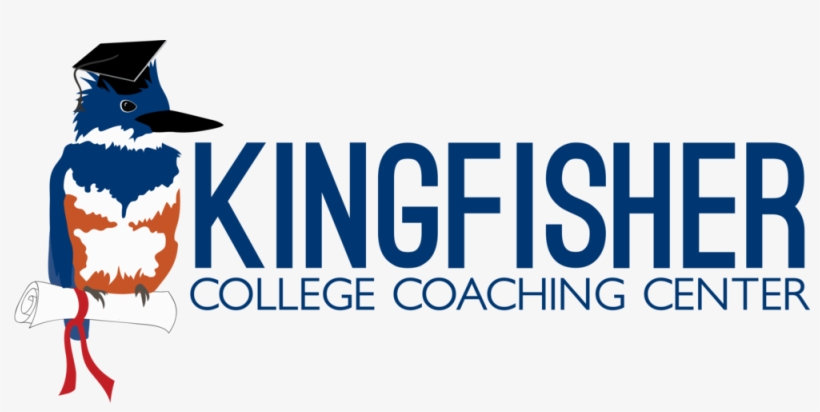 Kingfisher Png, transparent png #2452349