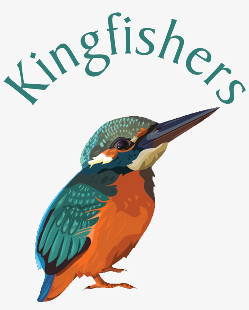 King Fisher Tote Bag, transparent png #2452389