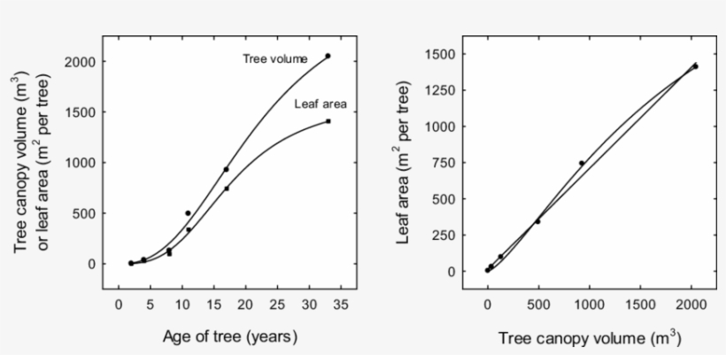 Changes In Leaf Area And Tree Canopy Volume In 'palmer' - Plot, transparent png #2452409