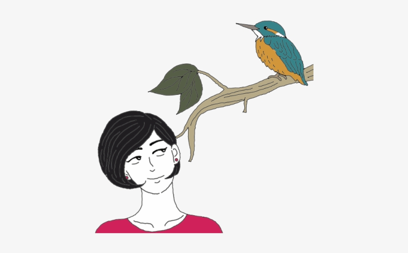 Kingfisher, transparent png #2452435