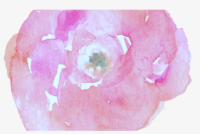 New Blog Design Watercolor Flowers Beautiful, Colorful - Watercolor Painting, transparent png #2452509