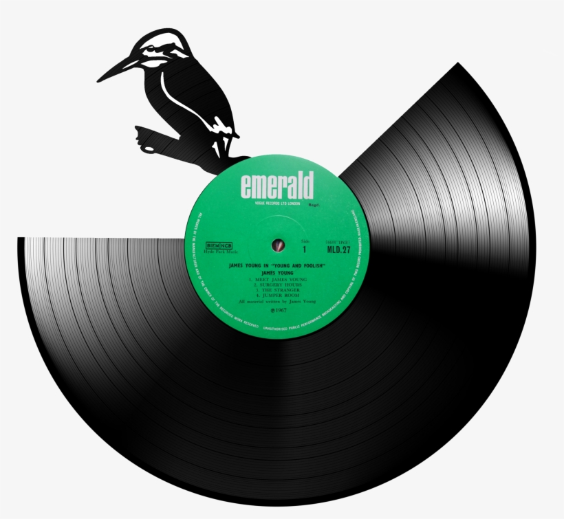 Kingfisher V=1530833816 - Seabird, transparent png #2452703