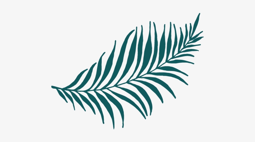 About Aqua Floral Design, transparent png #2452868