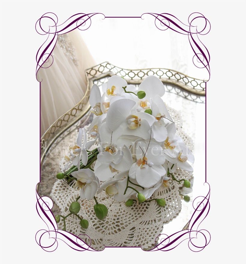 Contemporary Simple Falling Phalaenopsis Orchid Cascading - Flower, transparent png #2453373