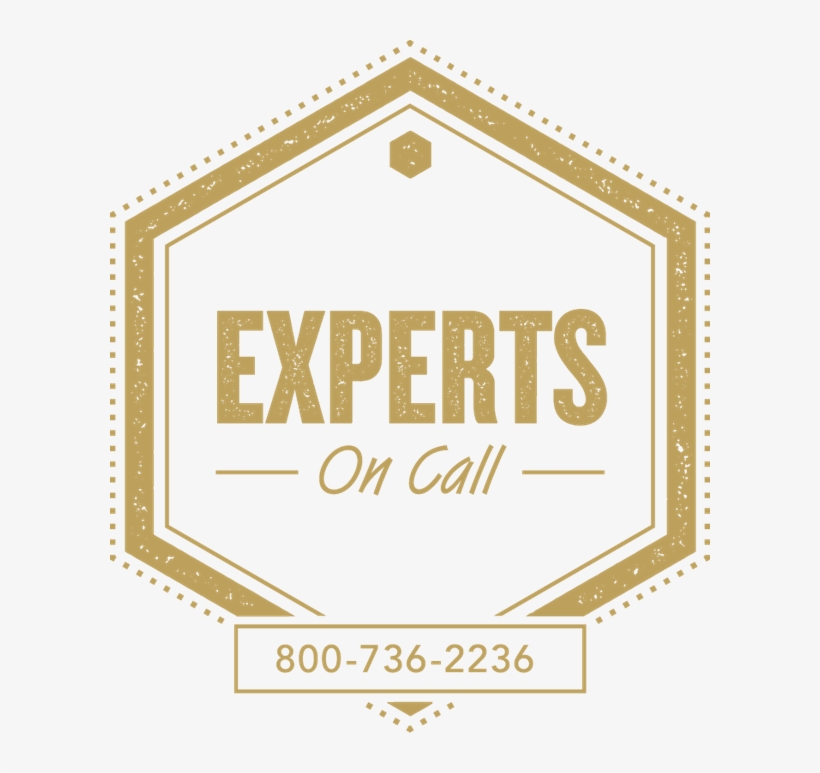 Call The Experts We'll Answer - Descendents Merican, transparent png #2454089