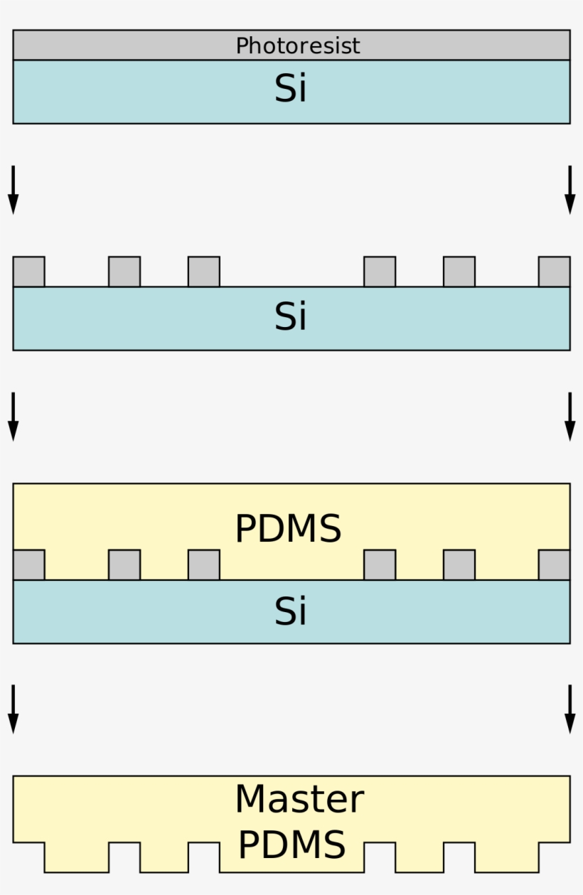 Micro Contact Printing Lithography, transparent png #2454205