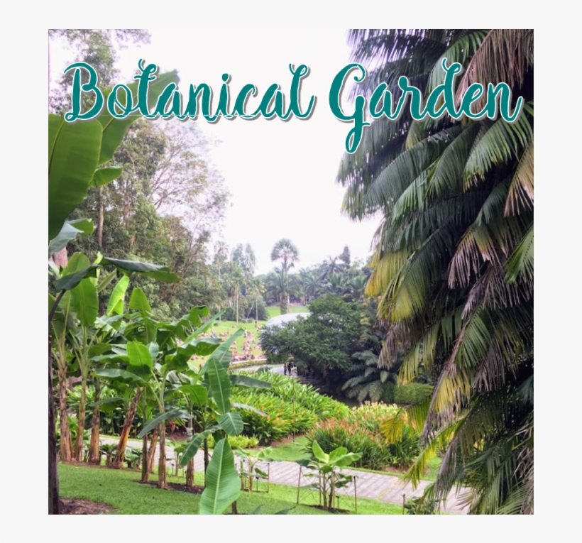 Go To Image - Botanical Garden, transparent png #2454619