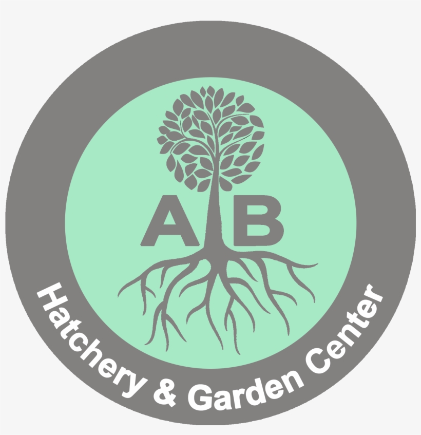 Circle, transparent png #2454884