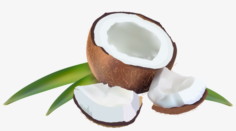 Coconut Transparent, transparent png #2454953