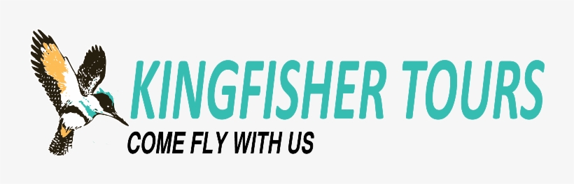 Book And Pay Before November 30 And Pay 2018 Rates - Kingfisher Tours, transparent png #2454999