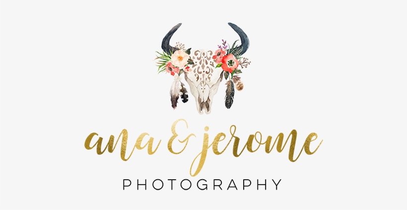 Cabo Wedding Photographers Ana & Jerome - Bull Skull With Feathers, transparent png #2455230