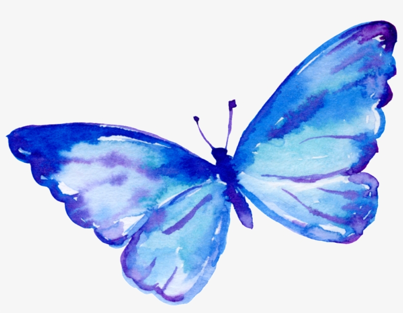 Flying Butterfly Cartoon Transparent - Flying Butterfly Cartoon, transparent png #2455251